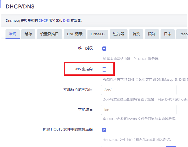 DNS 重定向设置