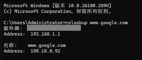 nslookup 命令输出示例
